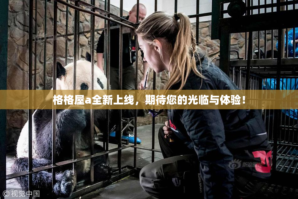 格格屋a全新上线，期待您的光临与体验！