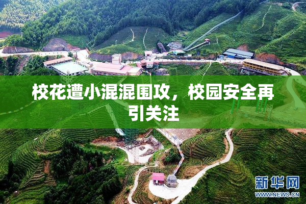 校花遭小混混围攻，校园安全再引关注