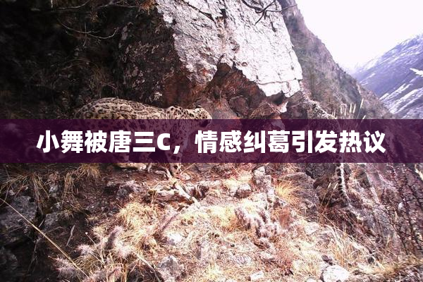 小舞被唐三C，情感纠葛引发热议