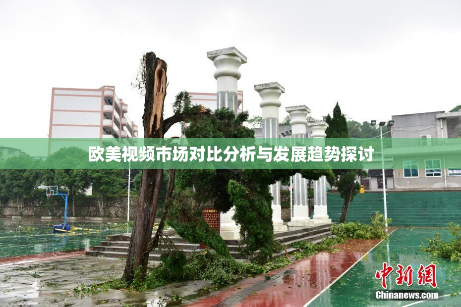 欧美视频市场对比分析与发展趋势探讨