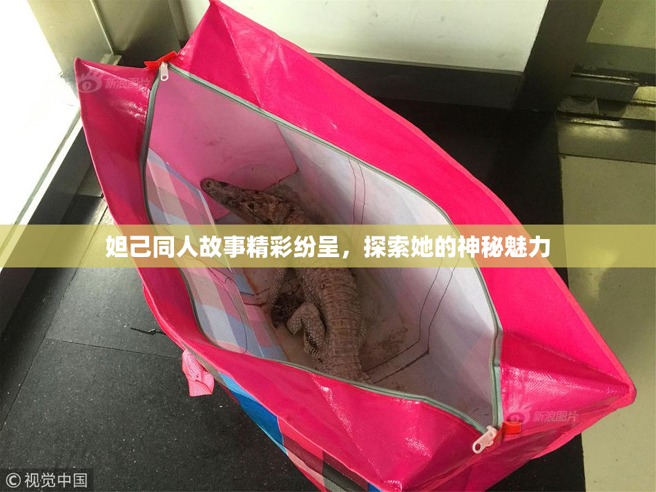 妲己同人故事精彩纷呈，探索她的神秘魅力