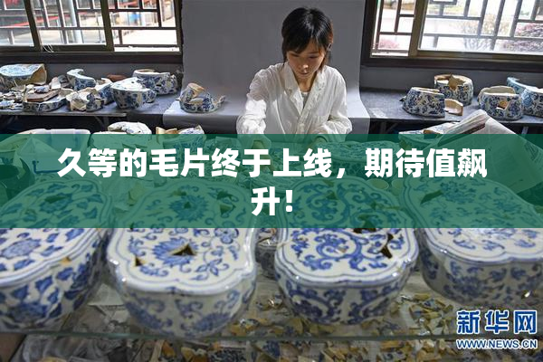 久等的毛片终于上线，期待值飙升！