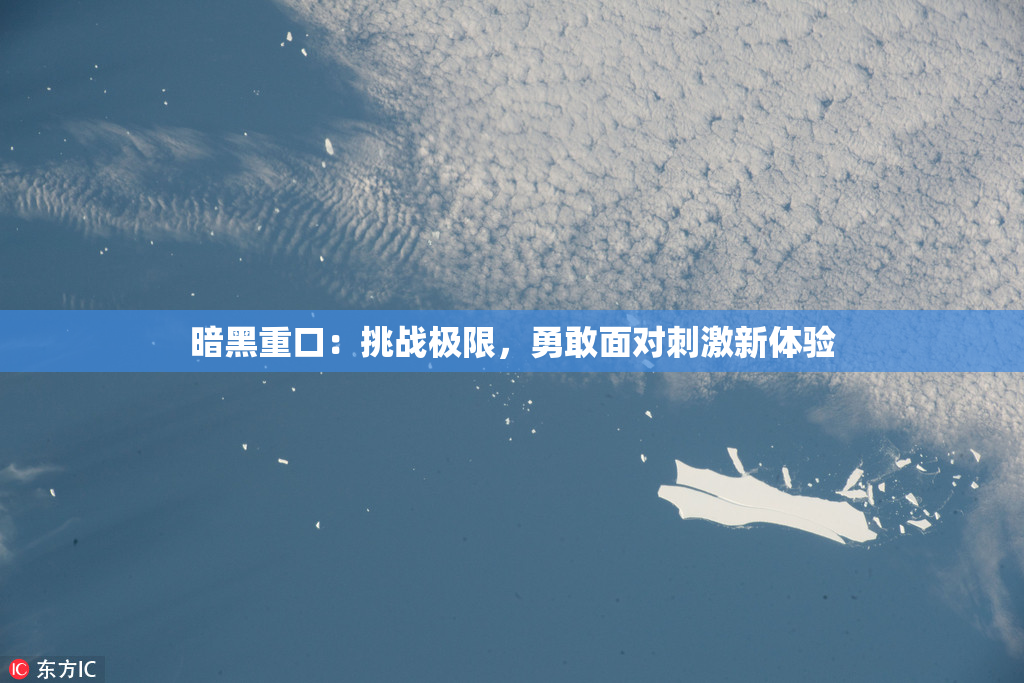 暗黑重口：挑战极限，勇敢面对刺激新体验