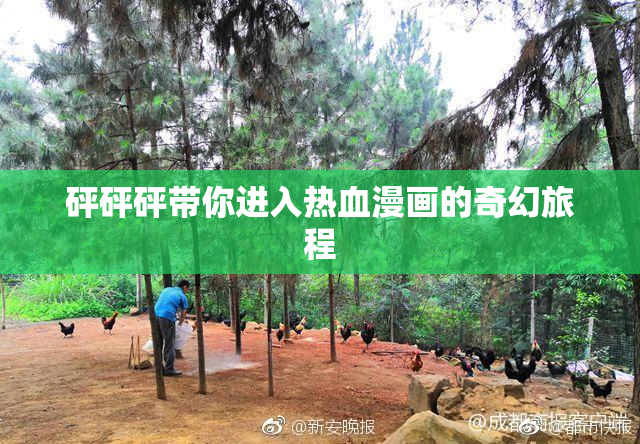 砰砰砰带你进入热血漫画的奇幻旅程