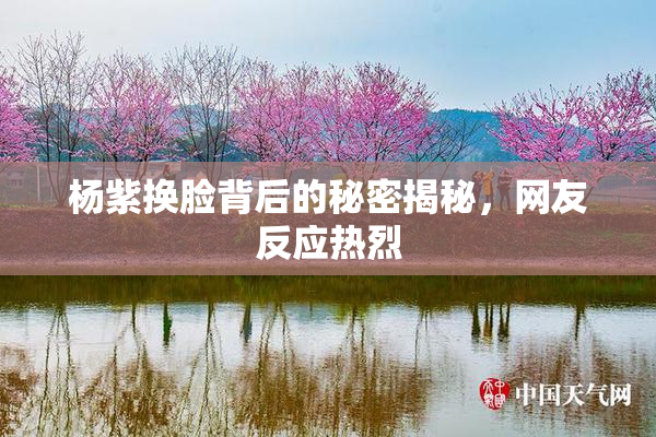 杨紫换脸背后的秘密揭秘，网友反应热烈