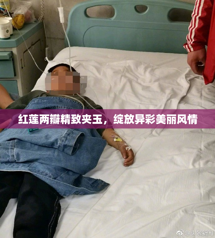 红莲两瓣精致夹玉，绽放异彩美丽风情