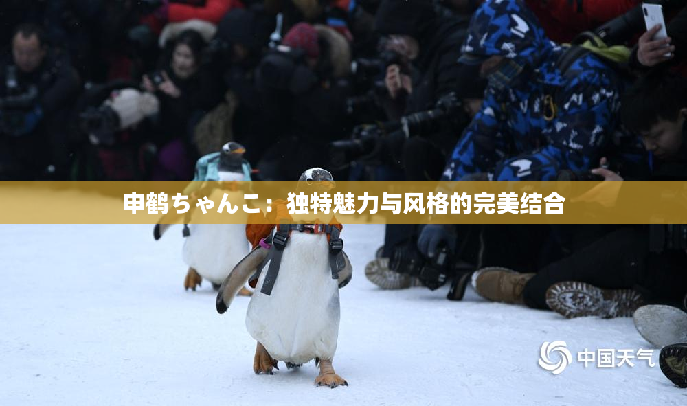 申鹤ちゃんこ：独特魅力与风格的完美结合