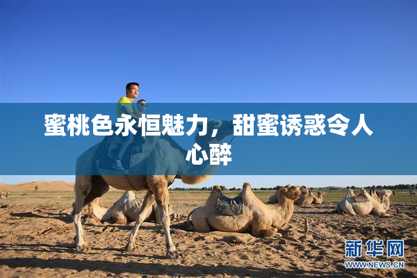 蜜桃色永恒魅力，甜蜜诱惑令人心醉