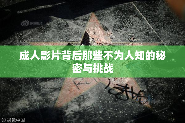 成人影片背后那些不为人知的秘密与挑战