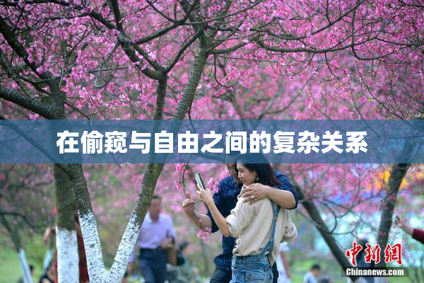 在偷窥与自由之间的复杂关系
