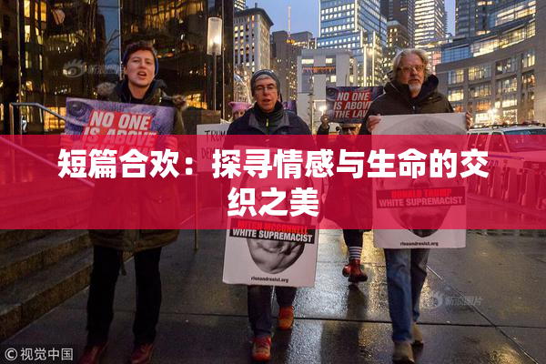 短篇合欢：探寻情感与生命的交织之美