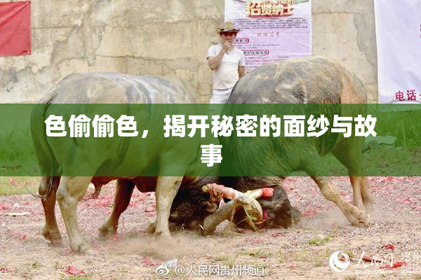 色偷偷色，揭开秘密的面纱与故事