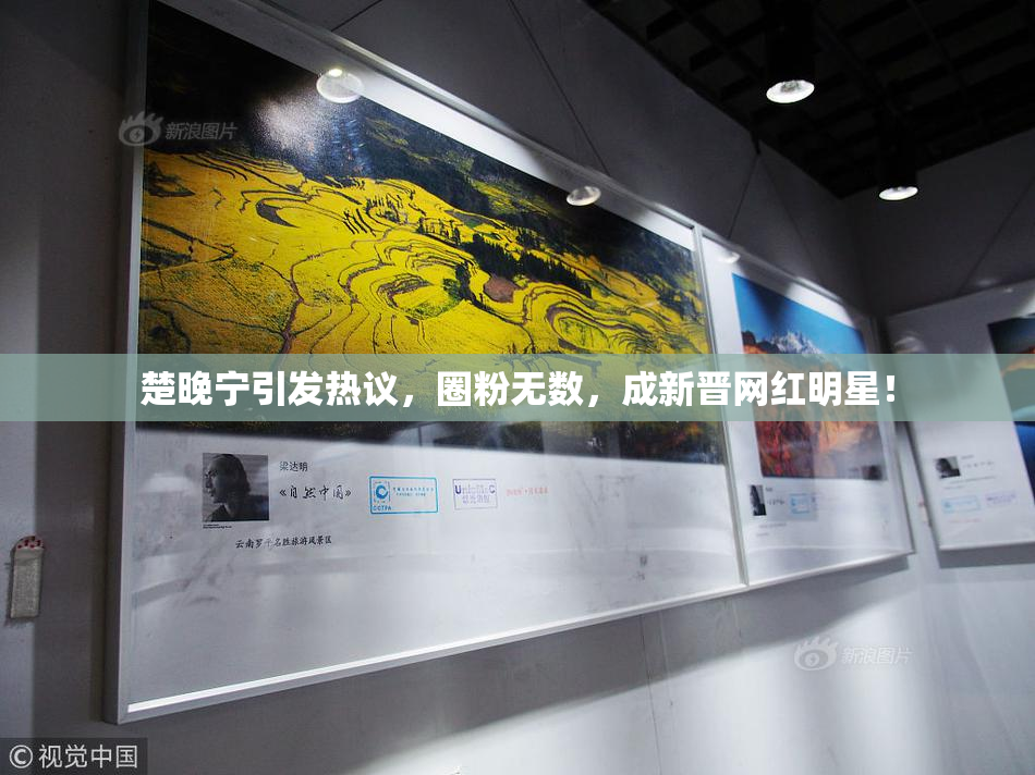 楚晚宁引发热议，圈粉无数，成新晋网红明星！