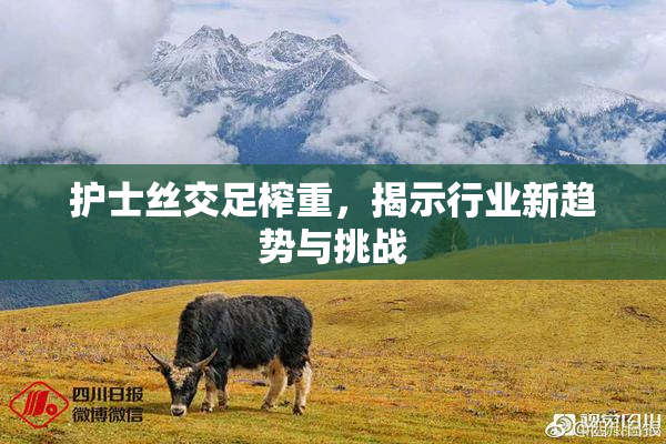 护士丝交足榨重，揭示行业新趋势与挑战