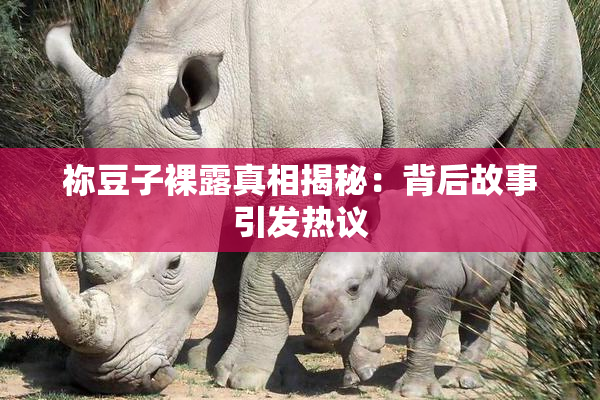 祢豆子裸露真相揭秘：背后故事引发热议