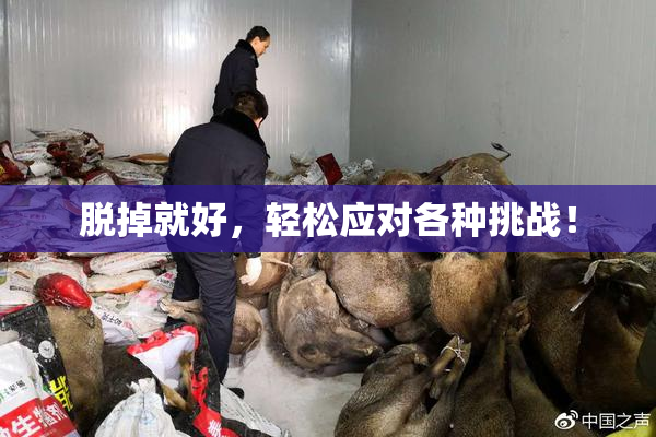 脱掉就好，轻松应对各种挑战！