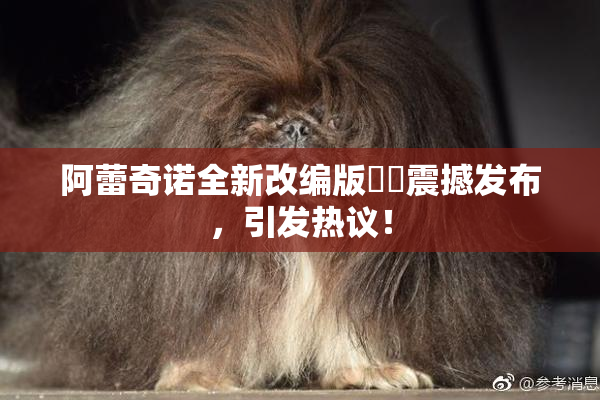 阿蕾奇诺全新改编版❌‌震撼发布，引发热议！