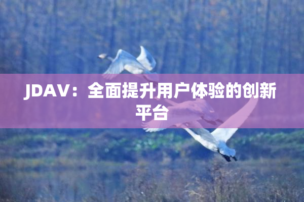 JDAV：全面提升用户体验的创新平台
