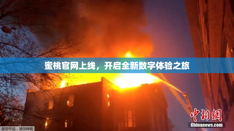 蜜桃官网上线，开启全新数字体验之旅