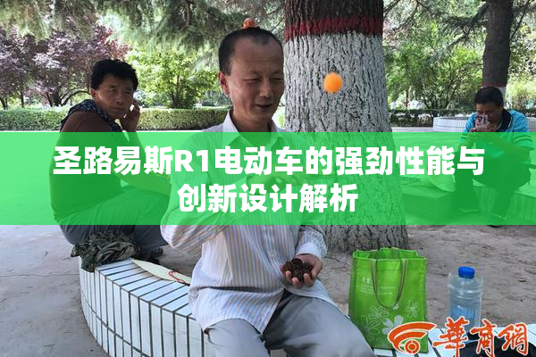 圣路易斯R1电动车的强劲性能与创新设计解析
