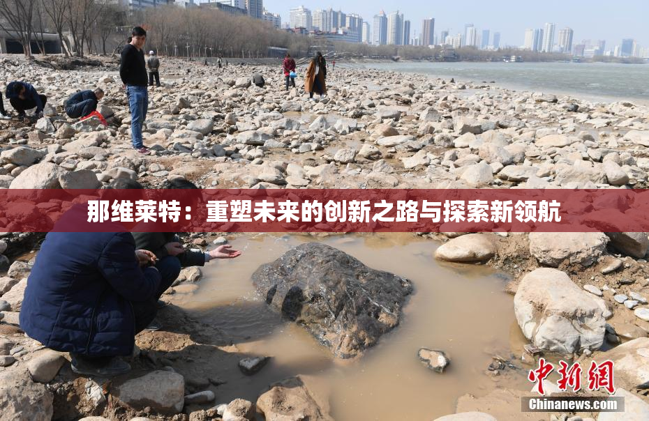 那维莱特：重塑未来的创新之路与探索新领航