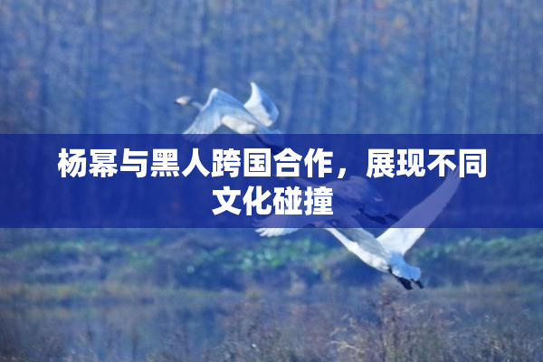 杨幂与黑人跨国合作，展现不同文化碰撞