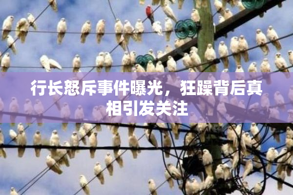 行长怒斥事件曝光，狂躁背后真相引发关注