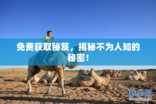 免费获取秘笈，揭秘不为人知的秘密！