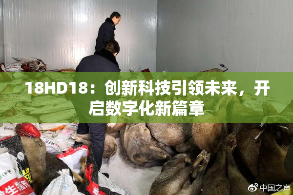 18HD18：创新科技引领未来，开启数字化新篇章
