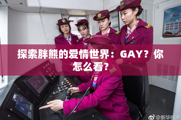 探索胖熊的爱情世界：GAY？你怎么看？