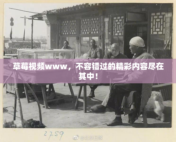 草莓视频www，不容错过的精彩内容尽在其中！