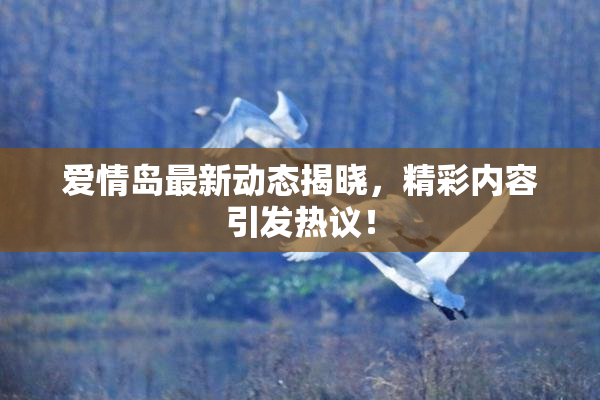 爱情岛最新动态揭晓，精彩内容引发热议！