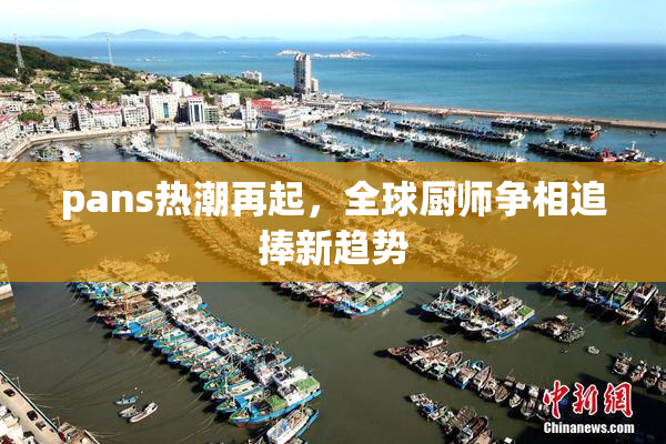 pans热潮再起，全球厨师争相追捧新趋势