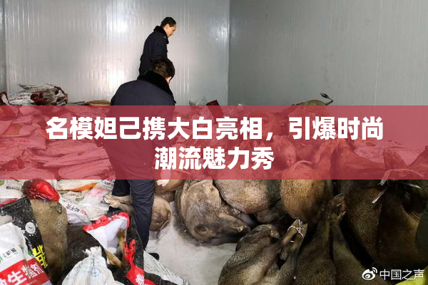名模妲己携大白亮相，引爆时尚潮流魅力秀