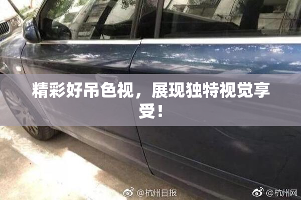 精彩好吊色视，展现独特视觉享受！