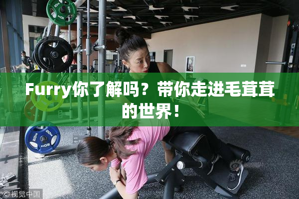 Furry你了解吗？带你走进毛茸茸的世界！
