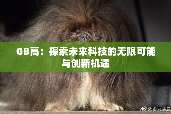 GB高：探索未来科技的无限可能与创新机遇