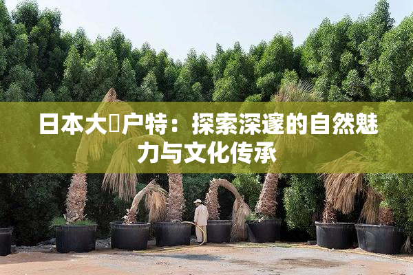 日本大隂户特：探索深邃的自然魅力与文化传承