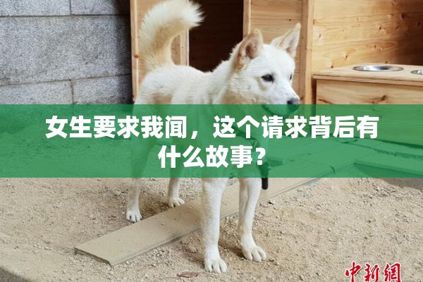 女生要求我闻，这个请求背后有什么故事？
