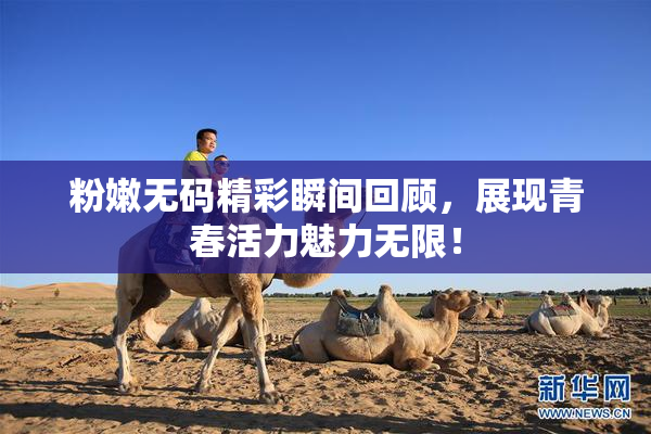 粉嫩无码精彩瞬间回顾，展现青春活力魅力无限！