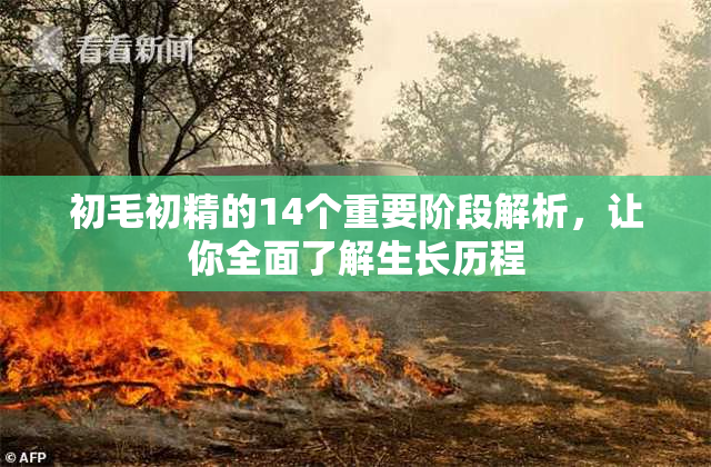初毛初精的14个重要阶段解析，让你全面了解生长历程