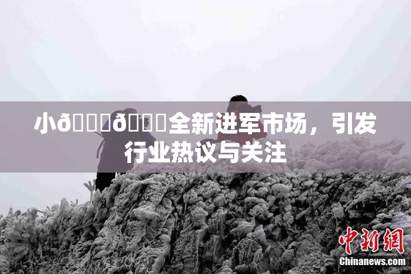 小🐔🐔全新进军市场，引发行业热议与关注