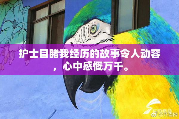 护士目睹我经历的故事令人动容，心中感慨万千。