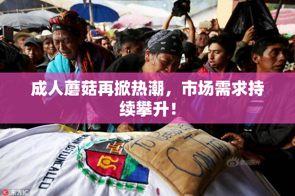成人蘑菇再掀热潮，市场需求持续攀升！