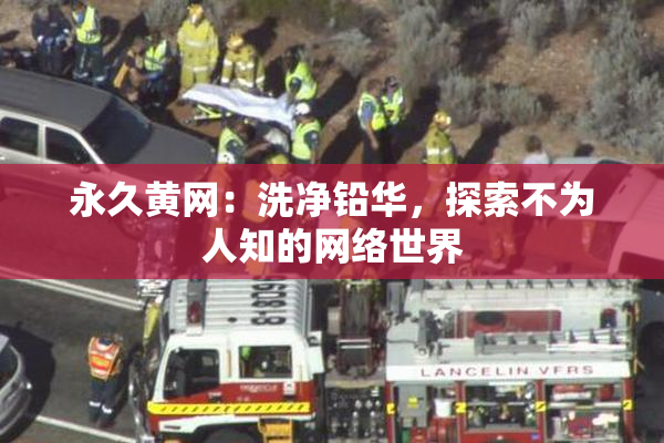 永久黄网：洗净铅华，探索不为人知的网络世界