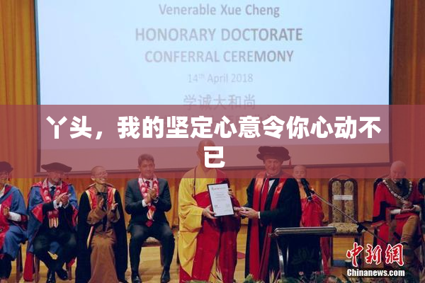 丫头，我的坚定心意令你心动不已