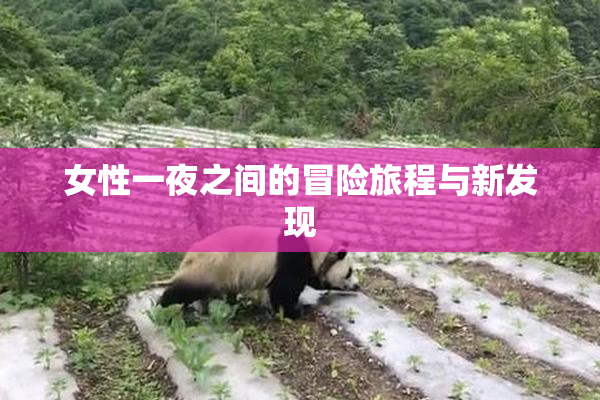 女性一夜之间的冒险旅程与新发现