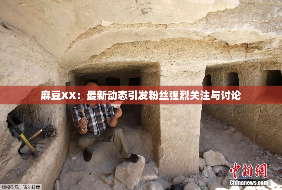 麻豆XX：最新动态引发粉丝强烈关注与讨论