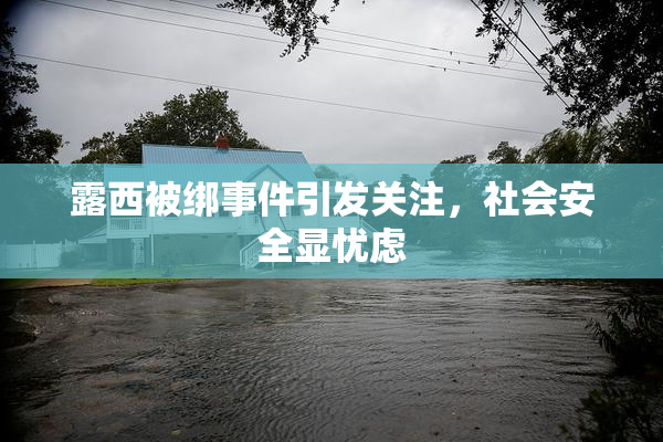 露西被绑事件引发关注，社会安全显忧虑