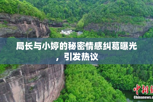 局长与小婷的秘密情感纠葛曝光，引发热议